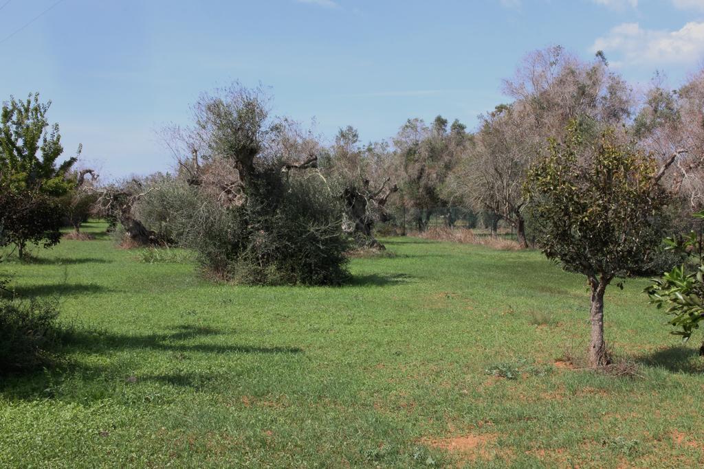 גאליפולי Villa Nanni מראה חיצוני תמונה